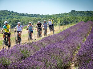 BBT Guided eBike Tour: The Great Lavender Loop - (Organized by TihanySport Special) 