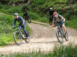 BBT vezetett eBike túra: Bakonyi erdők csodái