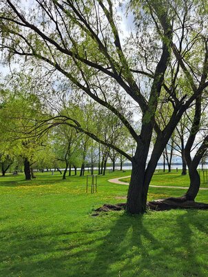Széchenyi Park, Balatonkenese