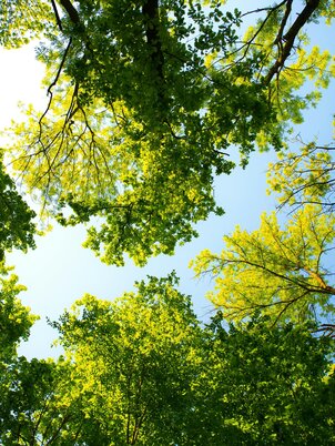 Veszprém Barátság park