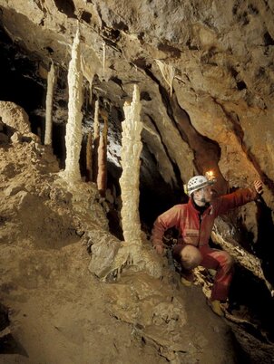 Csodabogyós-barlang