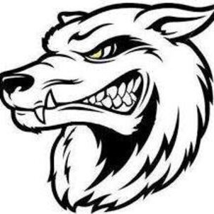 Farkasodu Taekwon-do és Kickbox Egyesület