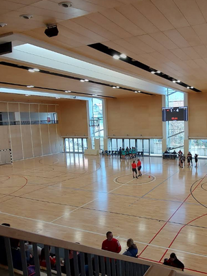 Ferences Sportcsarnok, Dám Károly Aréna