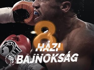Házi Bajnokság - Törteli Box Club