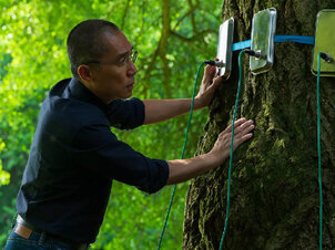 Filmklub: Csendes barát