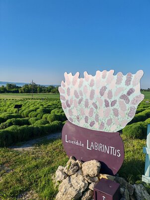 Levendula-Labirintus