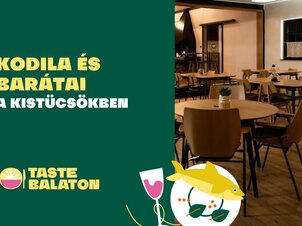 Kodila és barátai a Kistücsökben