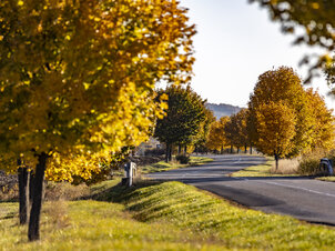 Két keréken, túrabottal vagy futócipőben - Mozgasd meg magad ősszel is a Bakony-Balaton régióban! 