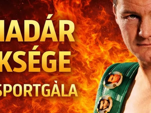 Tűzmadár öröksége ökölvívó gála
