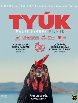 Tyúk