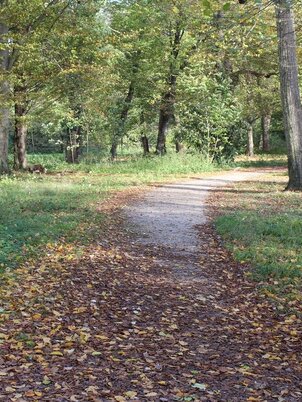 Körmendi várkastély parkja