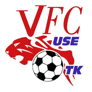 Veszprémi Foci Centrum Utánpótlás Sportegyesület (VFC USE)
