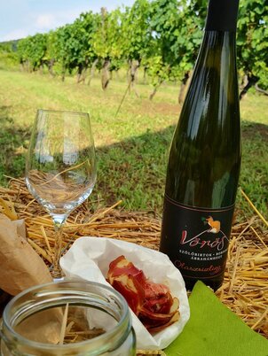 Vörös Szőlőbirtok és Borpince